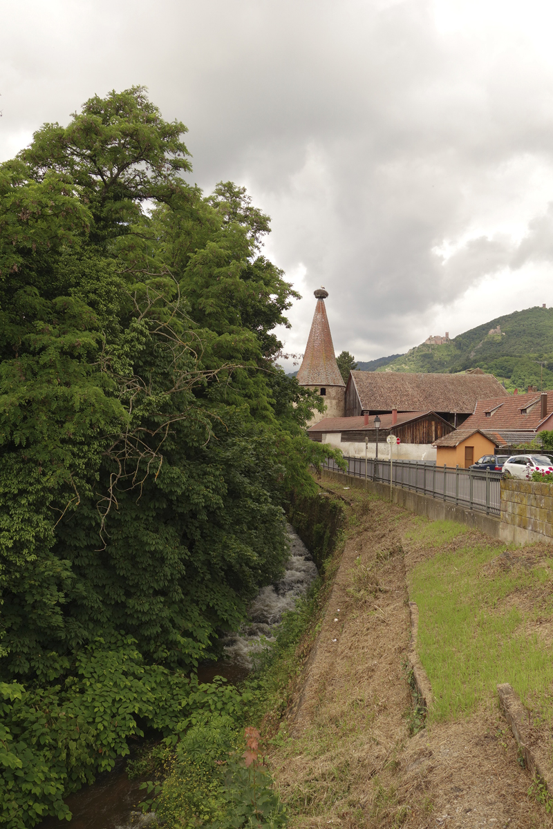 Mon voyage à Ribauvillé en Alsace en France