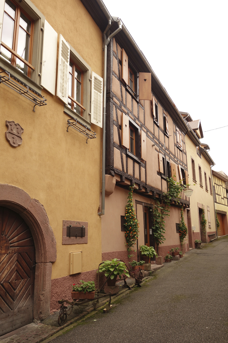 Mon voyage à Ribauvillé en Alsace en France