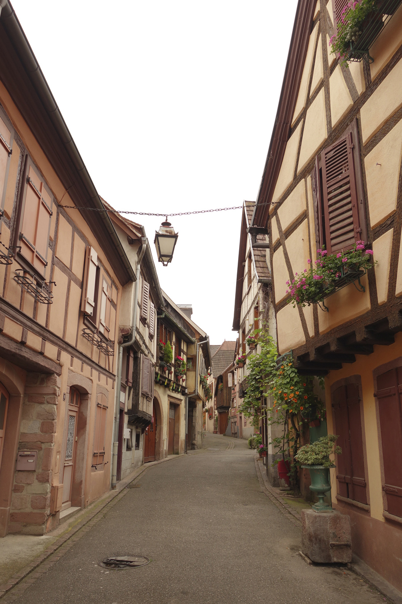 Mon voyage à Ribauvillé en Alsace en France