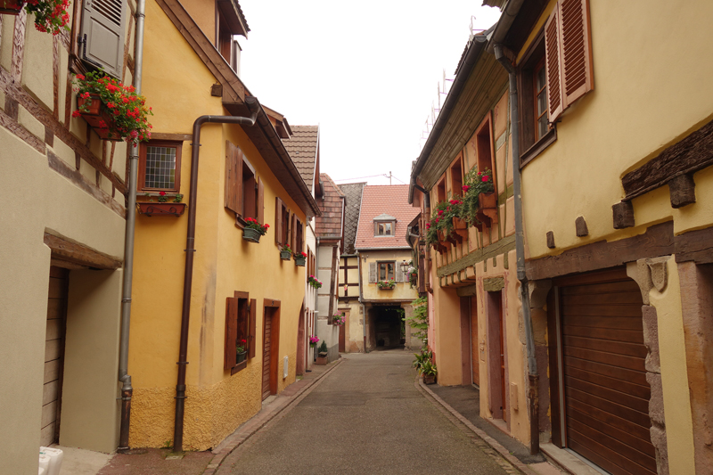 Mon voyage à Ribauvillé en Alsace en France