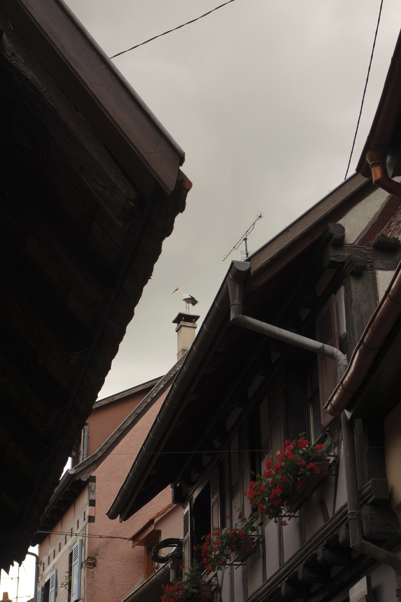 Mon voyage à Eguisheim en Alsace en France