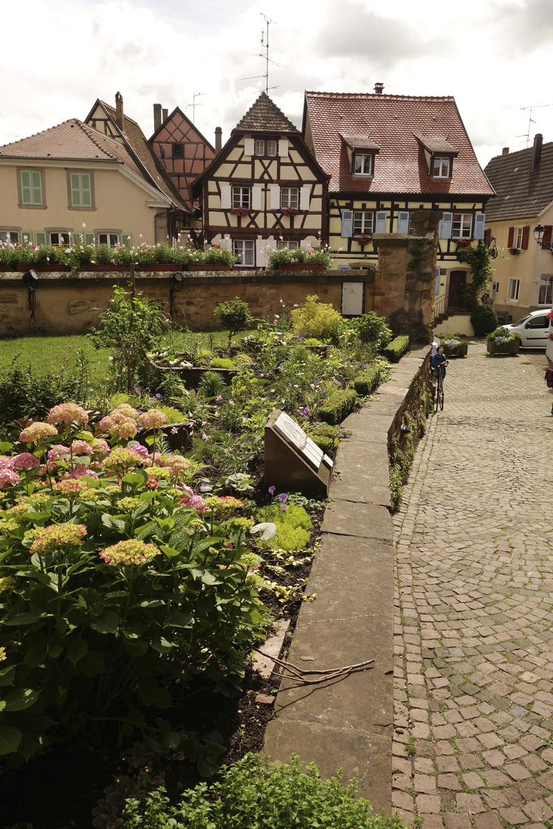 Mon voyage à Eguisheim en Alsace en France