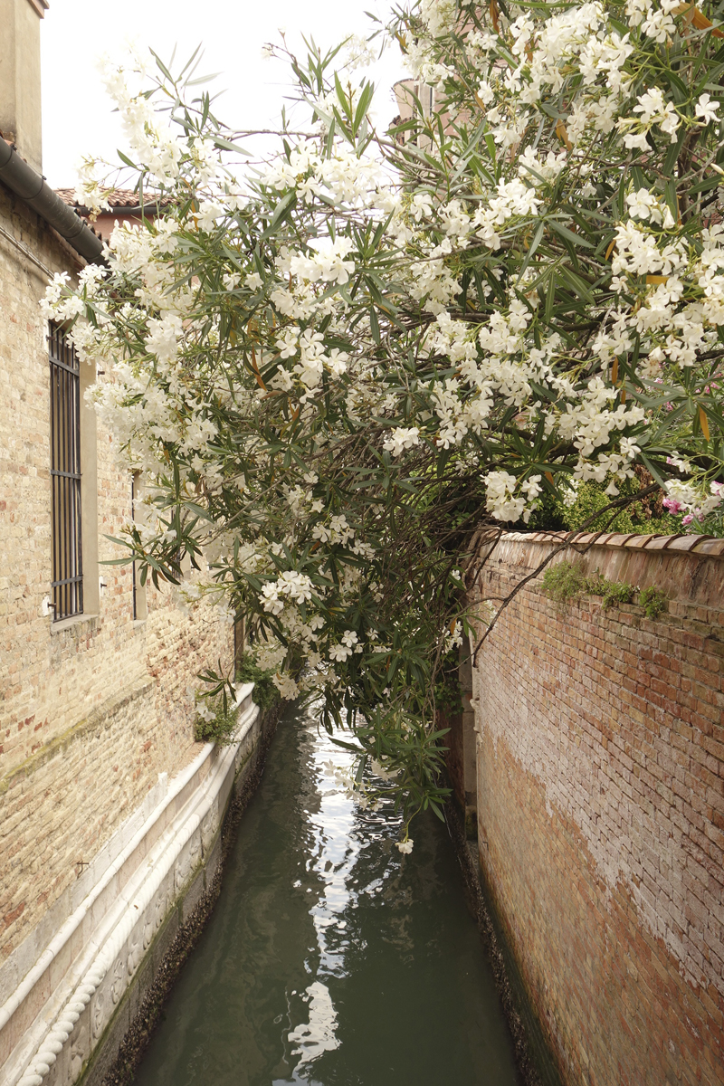 Mon voyage à Venise en Italie