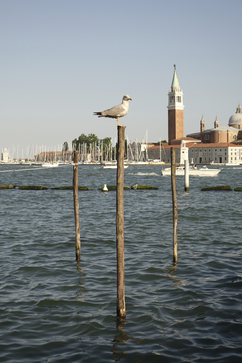 Mon voyage à Venise en Italie