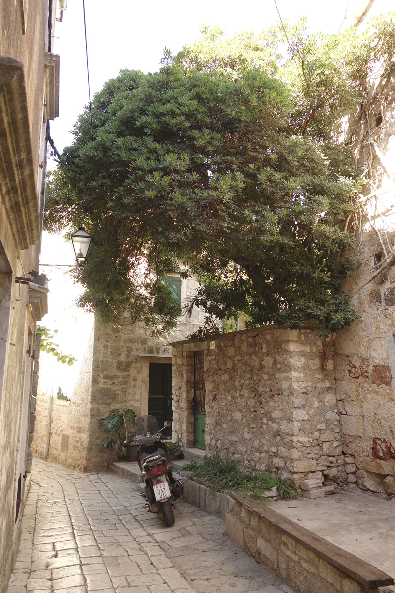 Stari Grad sur l'île d'Hvar en Croatie