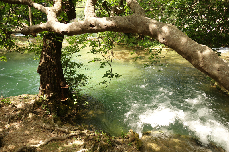 Mon voyageau Parc National Krka en Croatie