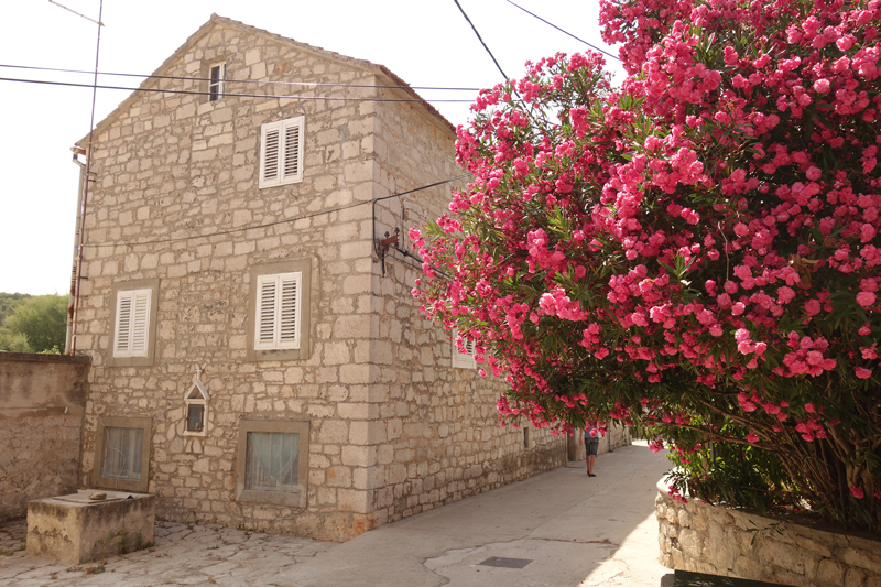 Mon voyage sur l'île Prvic au village Prvic Luka en Croatie