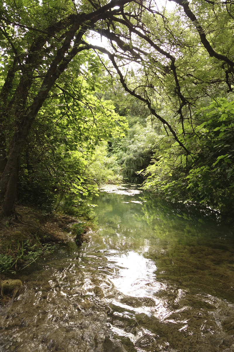 Mon voyageau Parc National Krka en Croatie