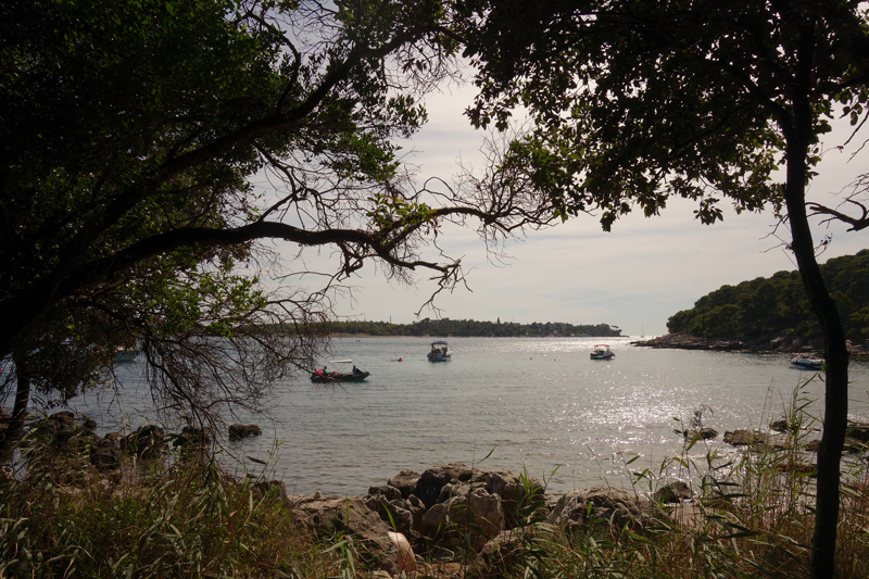 Mon voyage au Parc Naturel Golden Cape Forest à Rovinj en Croatie