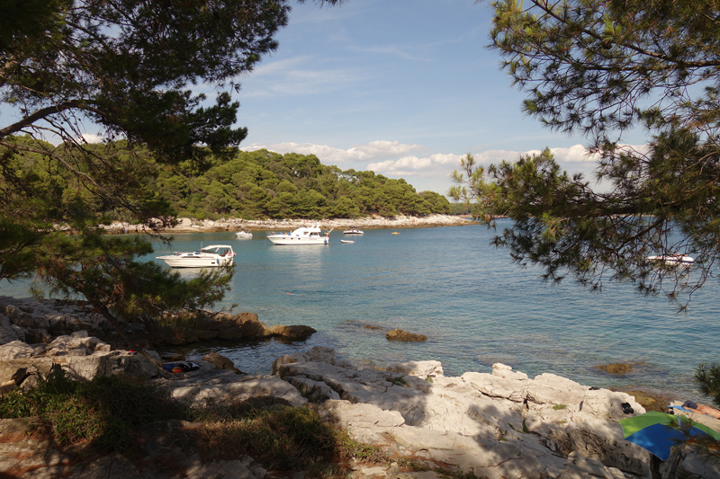 Mon voyage au Parc Naturel Golden Cape Forest à Rovinj en Croatie