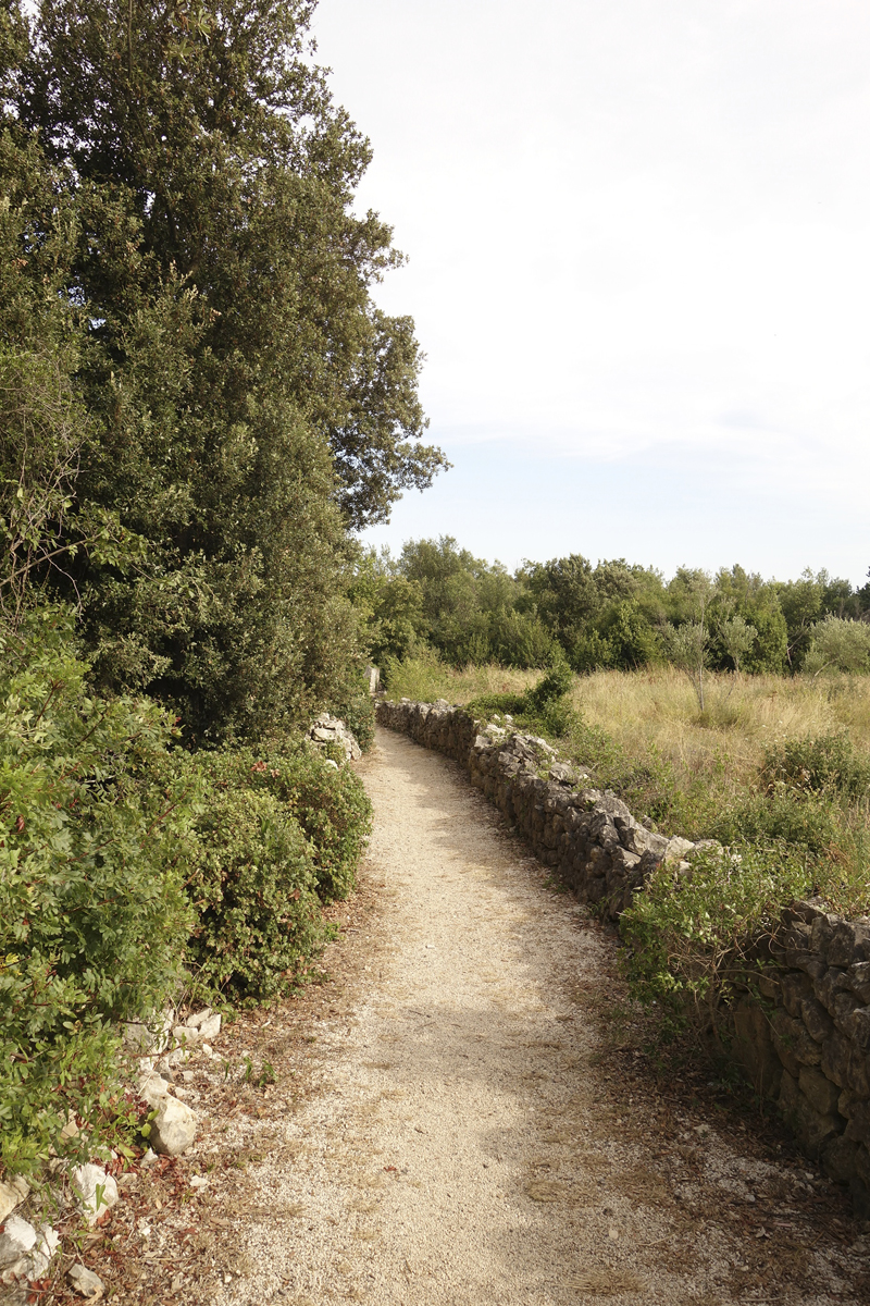 Mon voyage au Parc Naturel Golden Cape Forest à Rovinj en Croatie