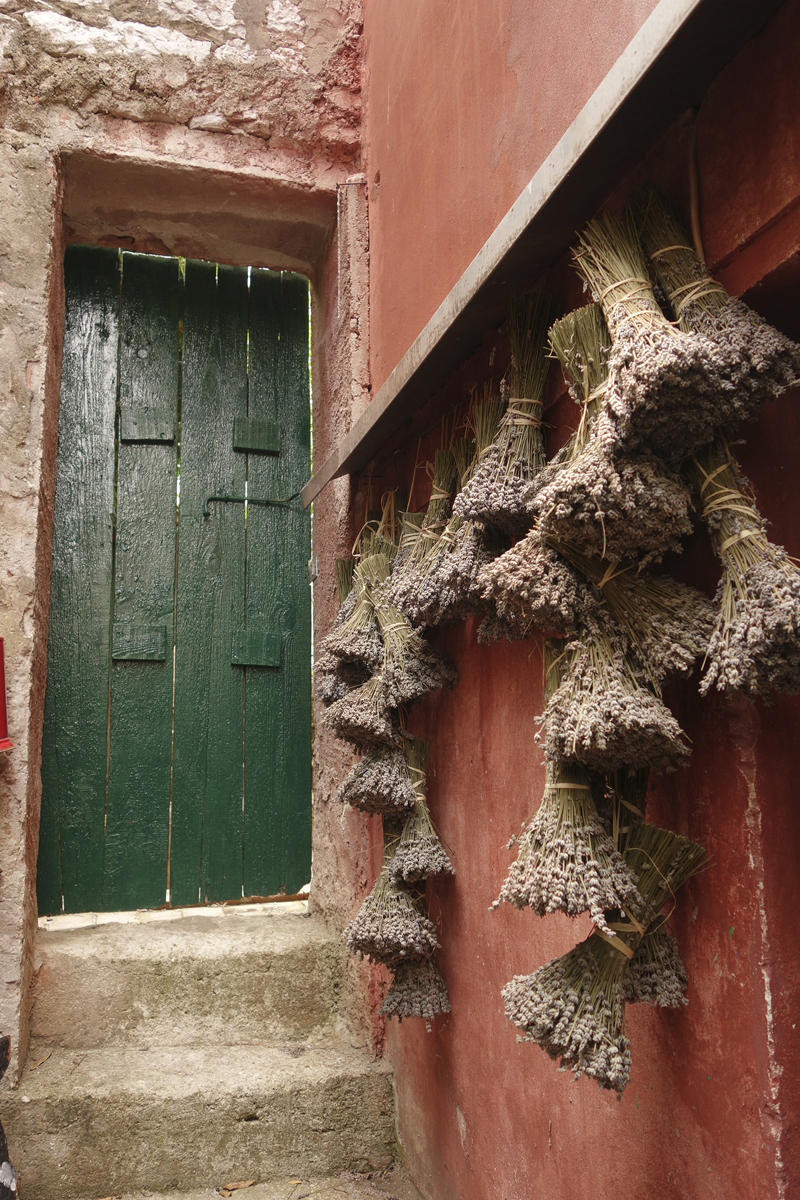 Mon voyage à Rovinj en Croatie