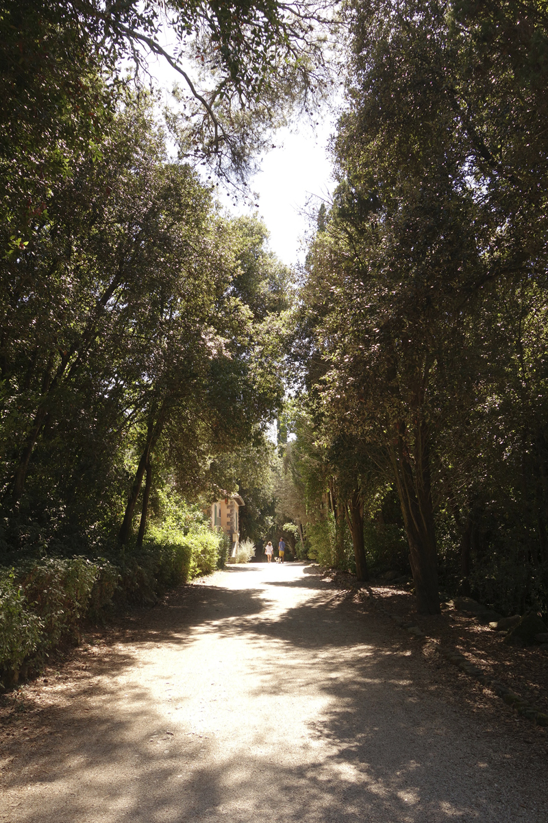 Mon voyage au Parc Naturel Golden Cape Forest à Rovinj en Croatie