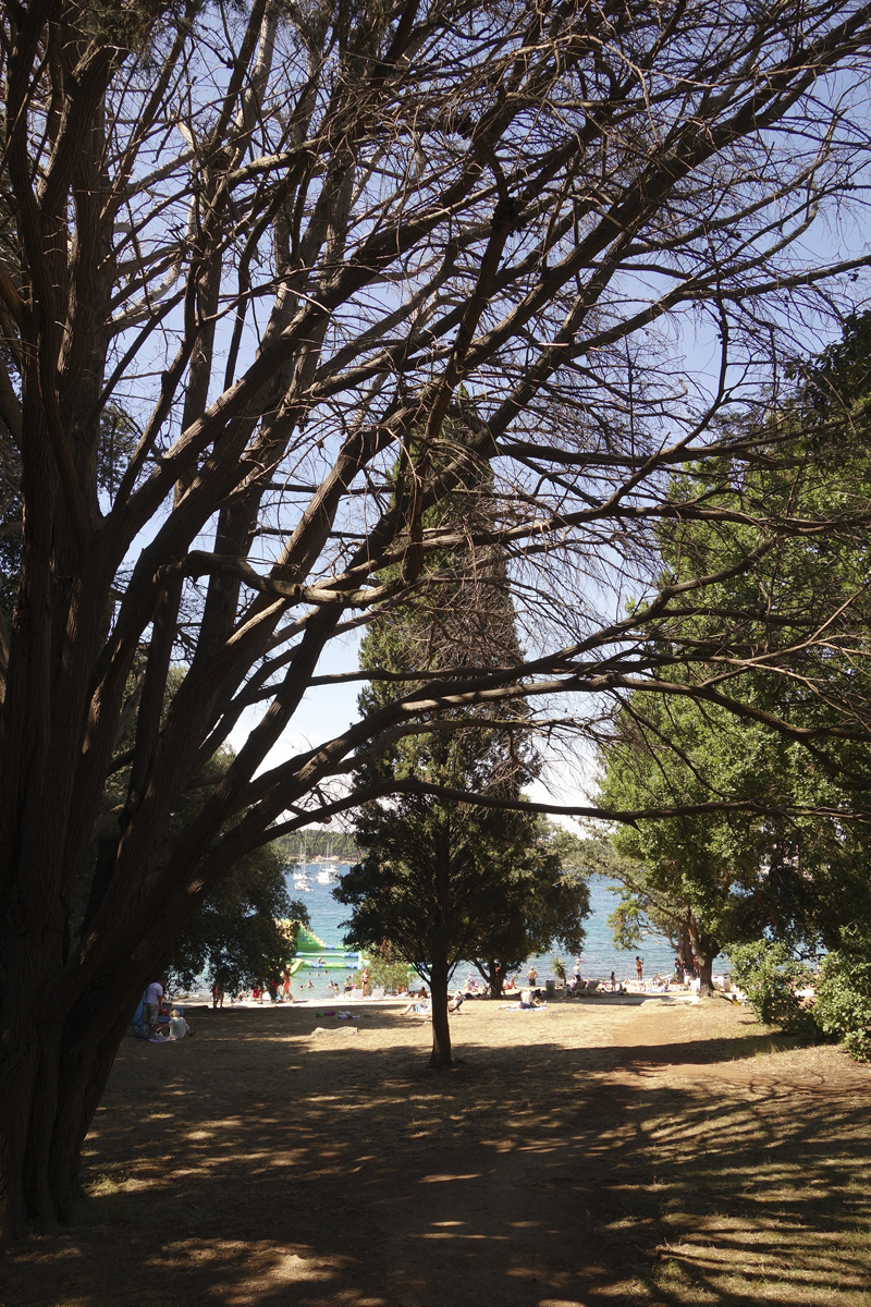 Mon voyage au Parc Naturel Golden Cape Forest à Rovinj en Croatie