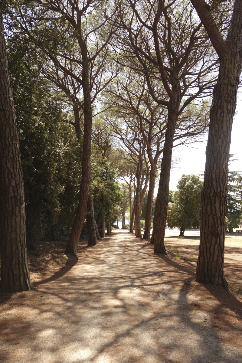 Mon voyage au Parc Naturel Golden Cape Forest à Rovinj en Croatie