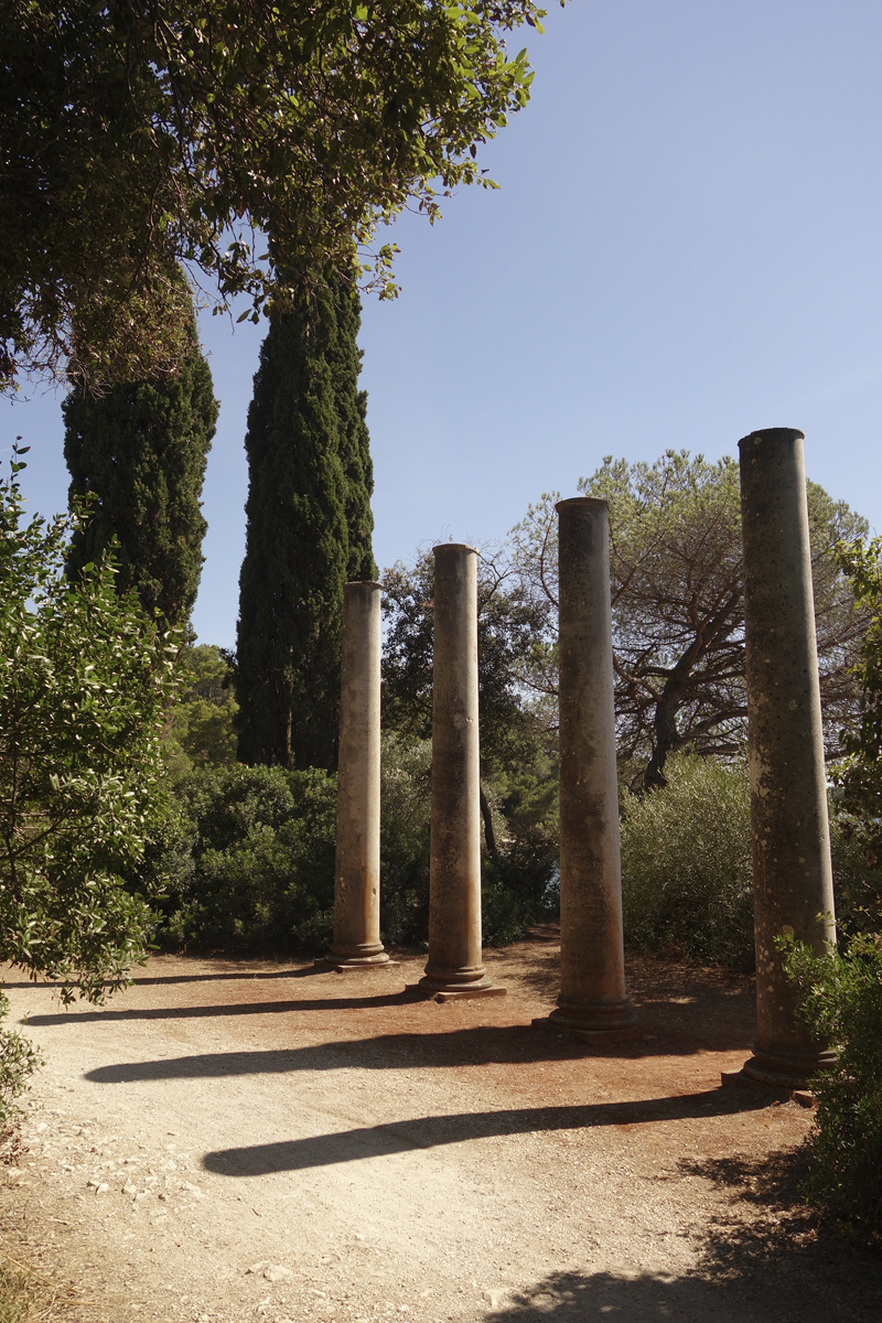 Mon voyage au Parc Naturel Golden Cape Forest à Rovinj en Croatie