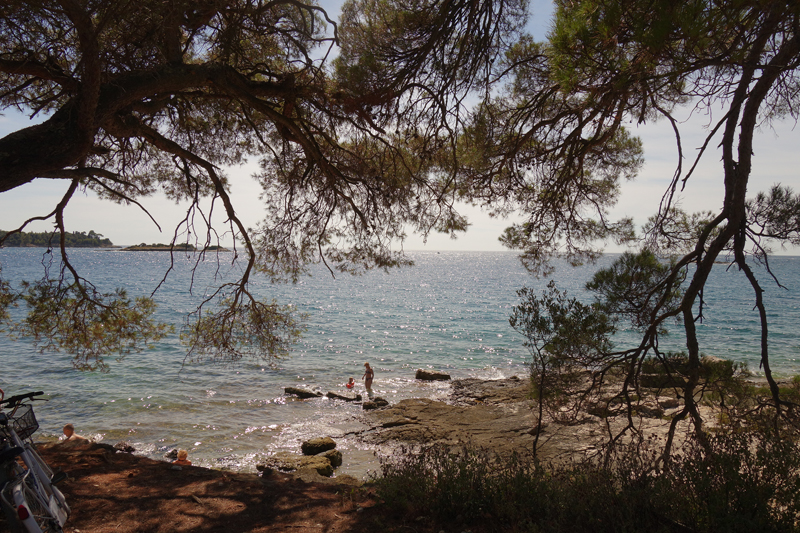 Mon voyage au Parc Naturel Golden Cape Forest à Rovinj en Croatie