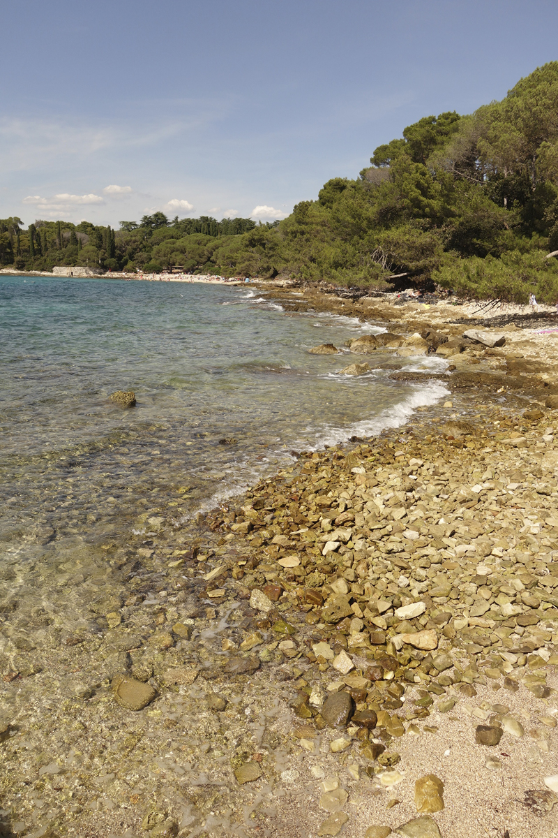 Mon voyage au Parc Naturel Golden Cape Forest à Rovinj en Croatie