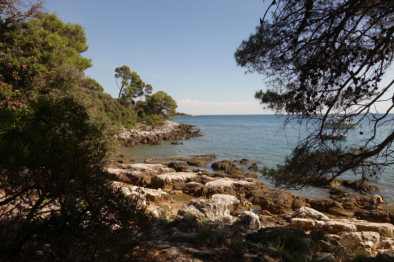 Mon voyage au Parc Naturel Golden Cape Forest à Rovinj en Croatie