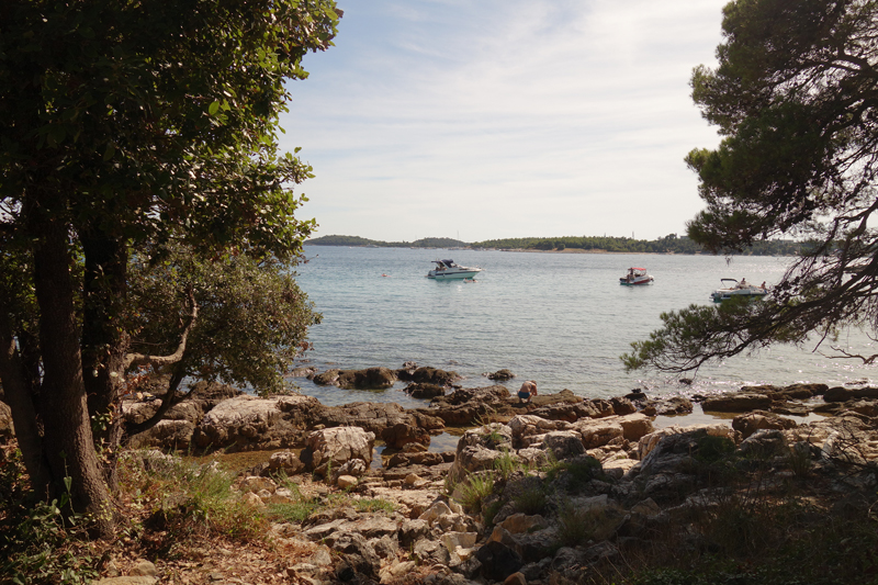 Mon voyage au Parc Naturel Golden Cape Forest à Rovinj en Croatie