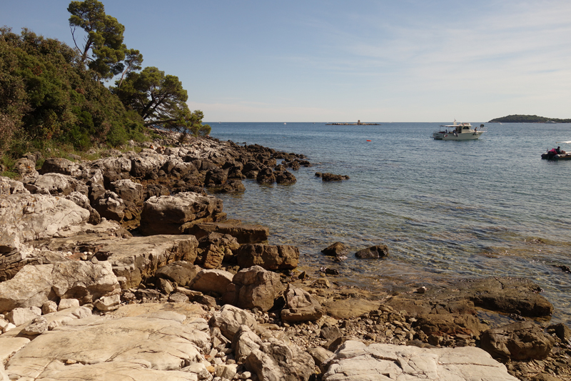 Mon voyage au Parc Naturel Golden Cape Forest à Rovinj en Croatie