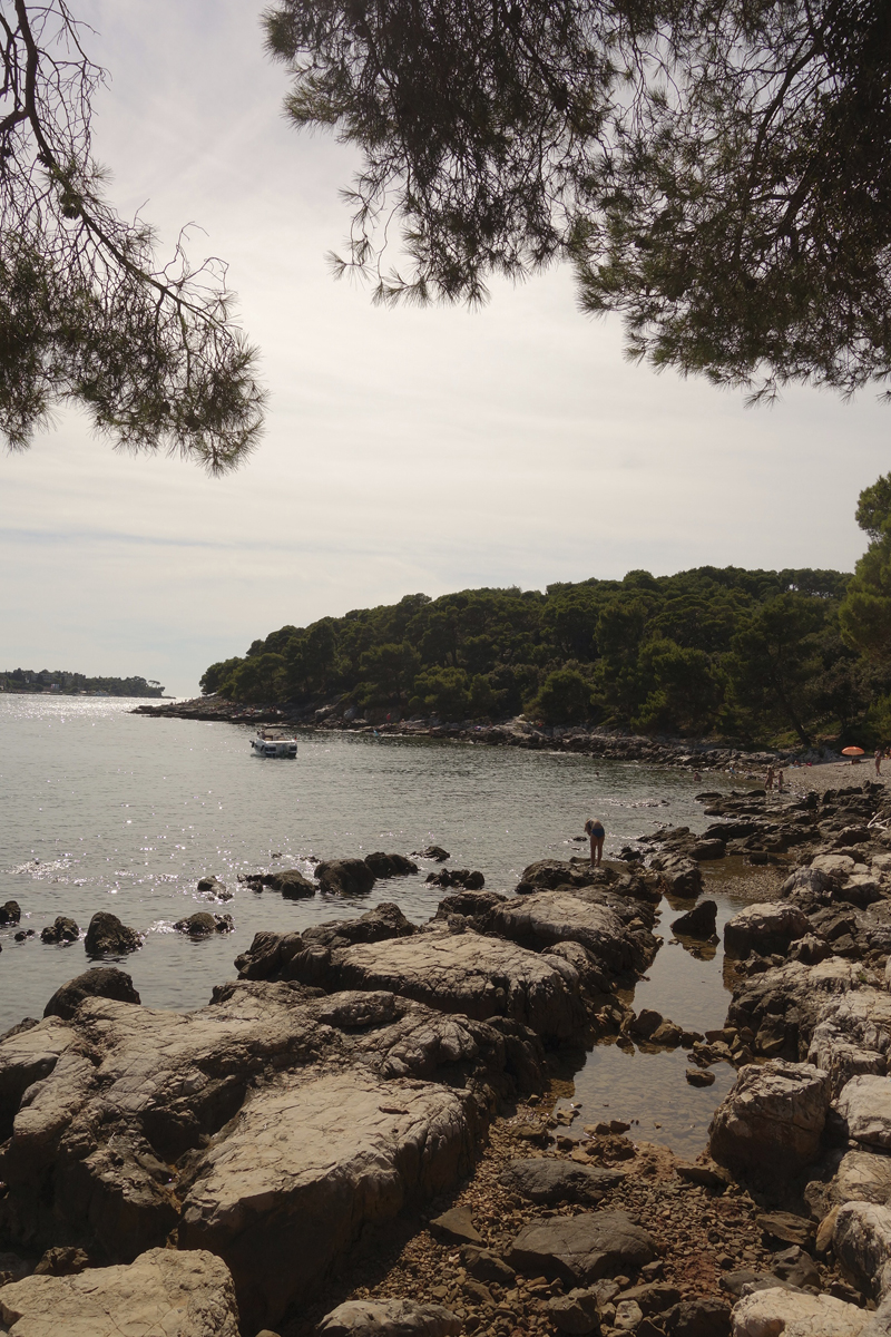 Mon voyage au Parc Naturel Golden Cape Forest à Rovinj en Croatie