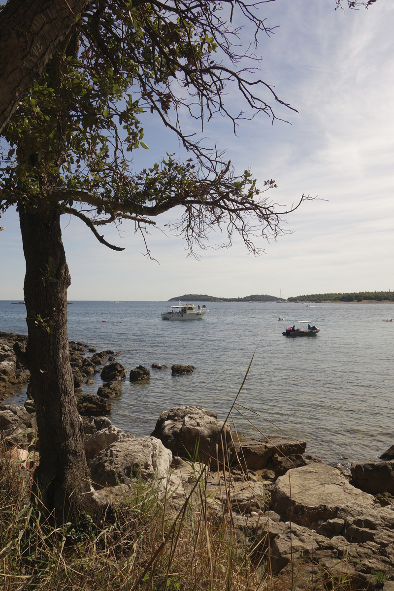 Mon voyage au Parc Naturel Golden Cape Forest à Rovinj en Croatie