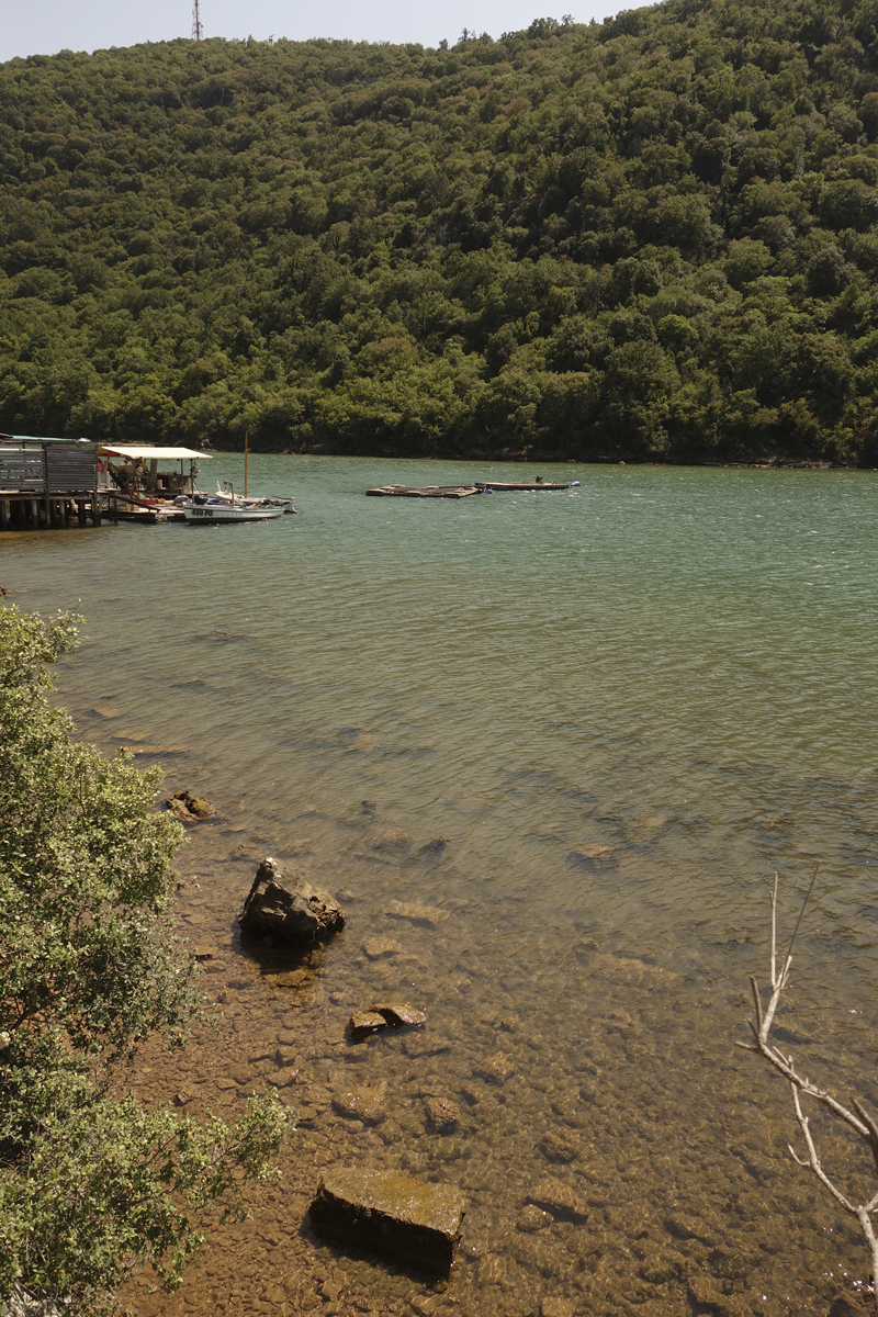 Mon voyage au Fjord de Lim en Croatie