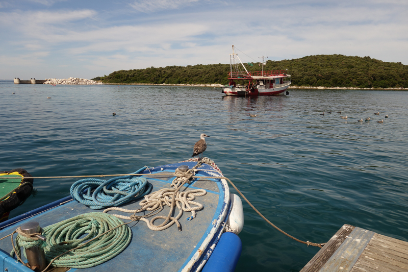 Mon voyage à Vsar en Croatie