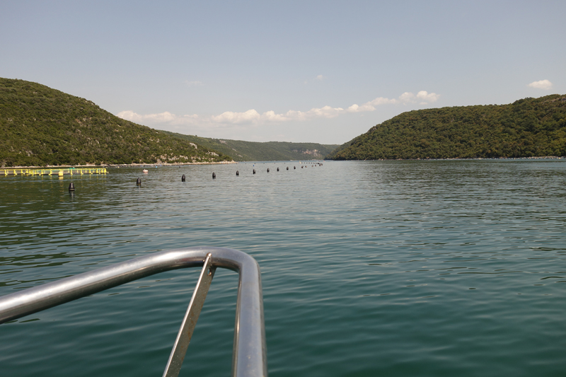 Mon voyage au Fjord de Lim en Croatie