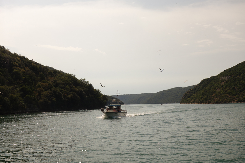 Mon voyage au Fjord de Lim en Croatie