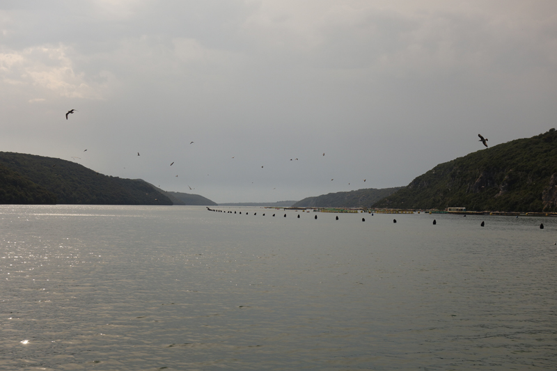 Mon voyage au Fjord de Lim en Croatie