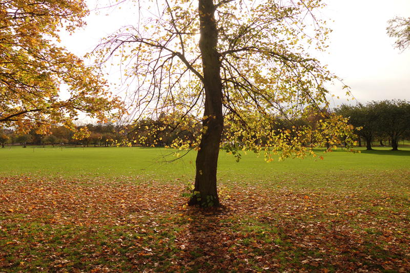 Mon voyage au Meadows Park Kirk à Édimbourg en Écosse