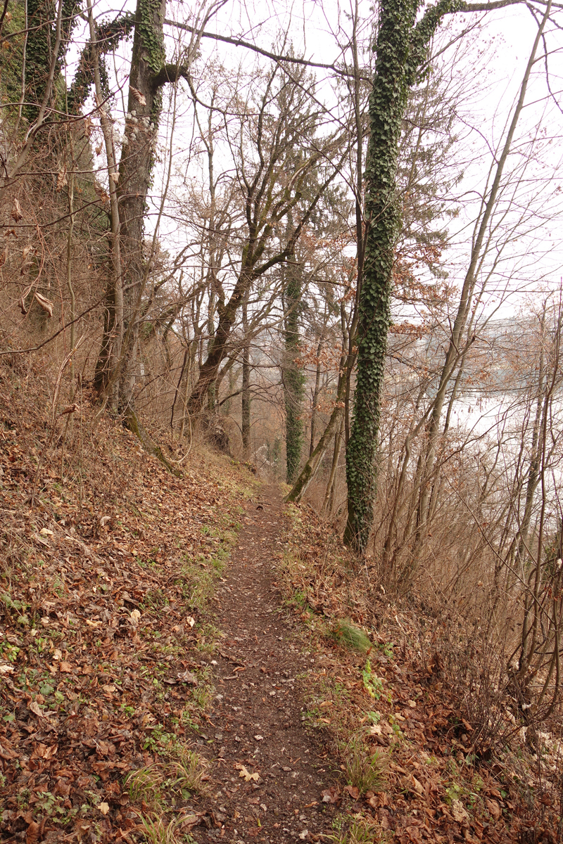 Mon voyage à Bled en Slovénie