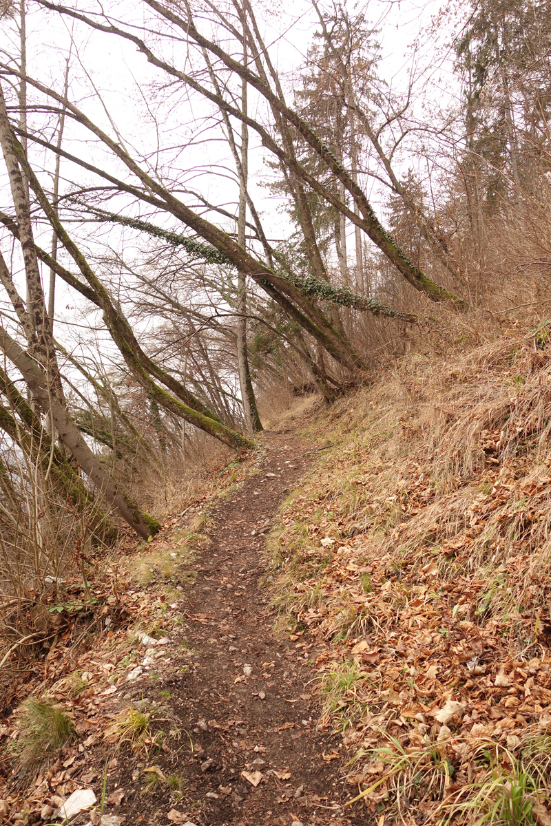 Mon voyage à Bled en Slovénie