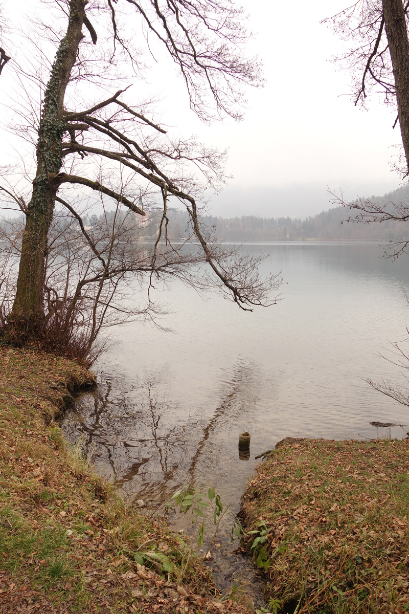 Mon voyage à Bled en Slovénie