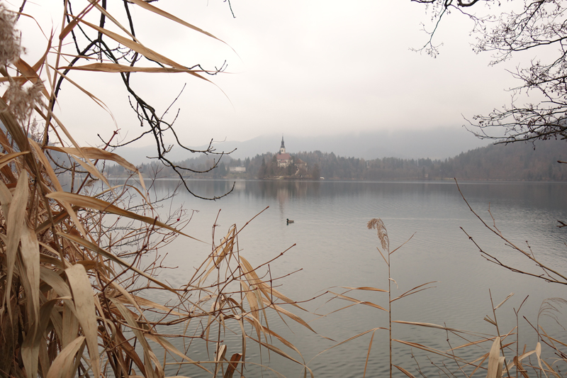 Mon voyage à Bled en Slovénie