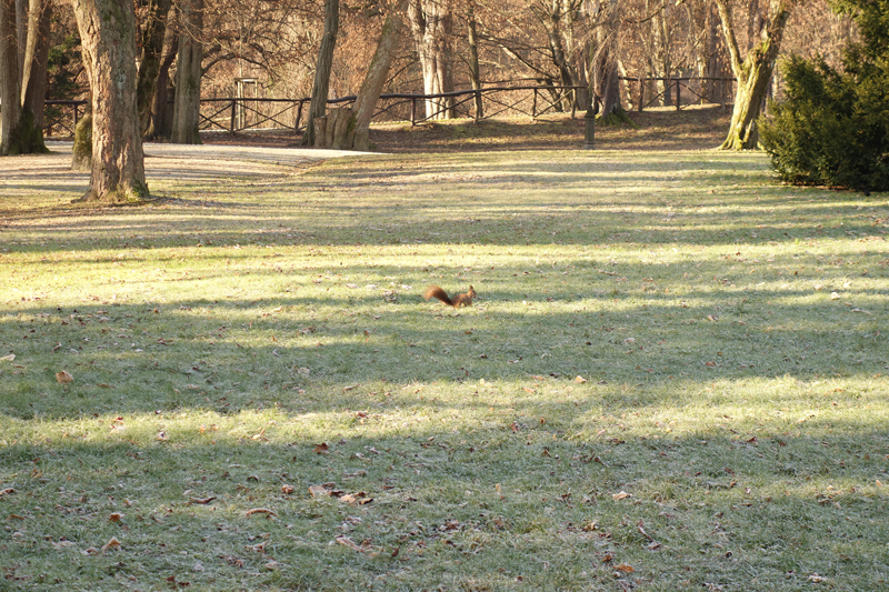 Mon voyage au Park Tivoli à Ljubljana en Slovénie