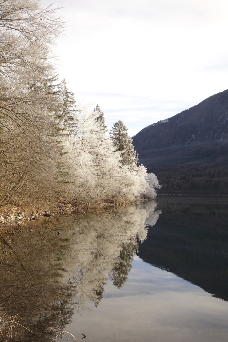 Mon voyage à Bohinj en Slovénie