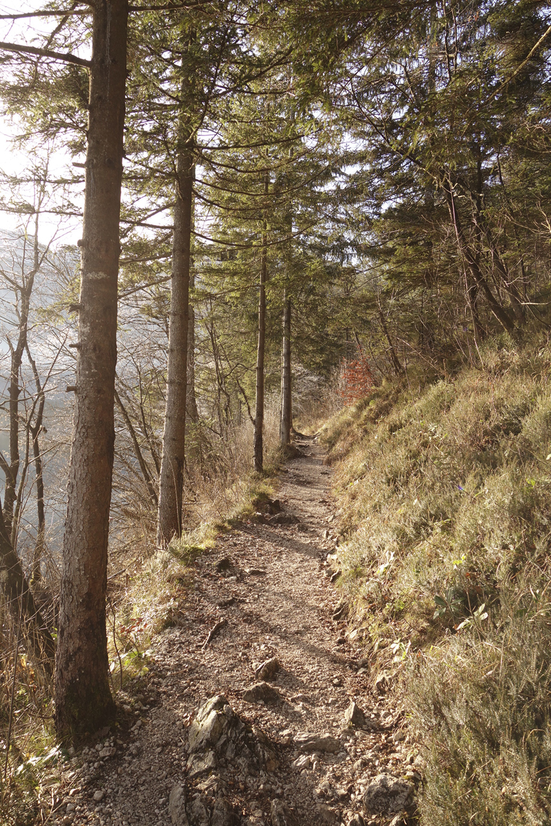 Mon voyage à Bohinj en Slovénie