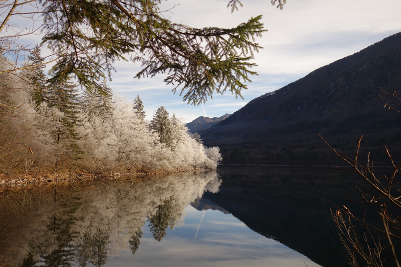 Mon voyage à Bohinj en Slovénie