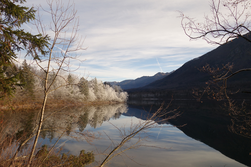 Mon voyage à Bohinj en Slovénie