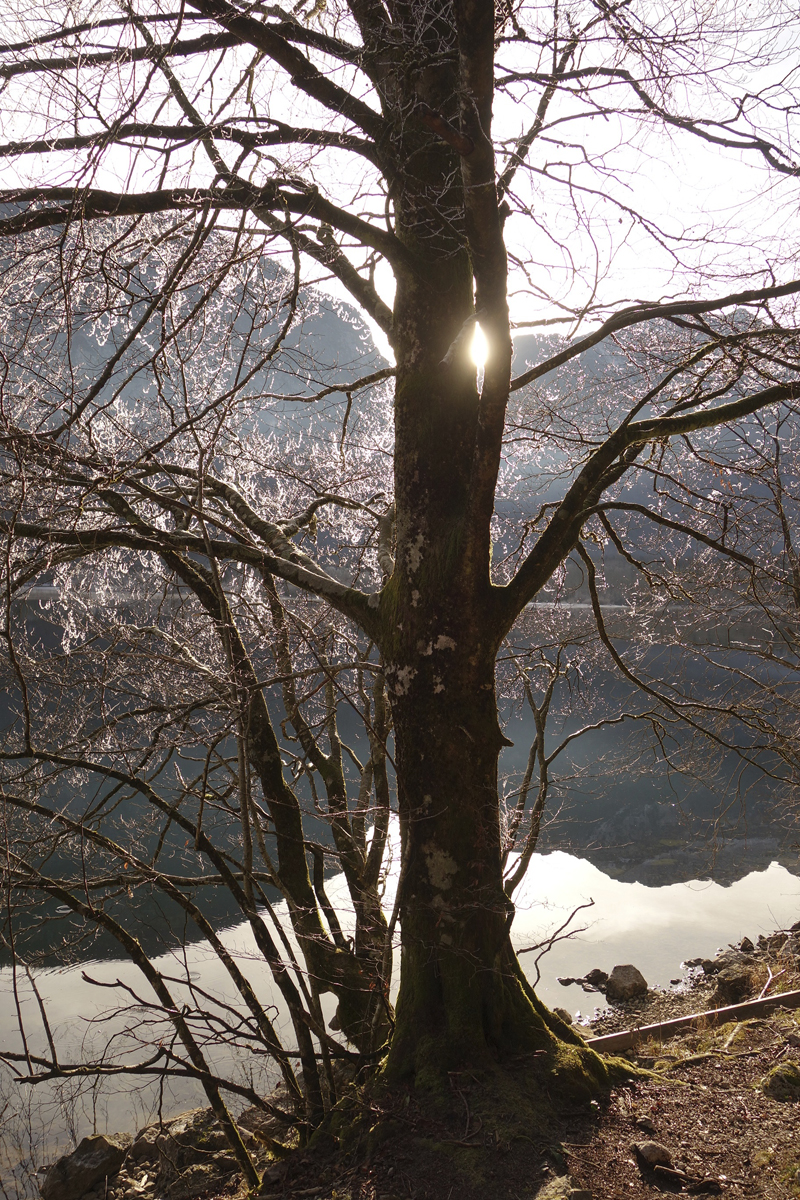 Mon voyage à Bohinj en Slovénie