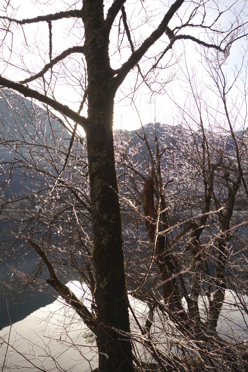 Mon voyage à Bohinj en Slovénie