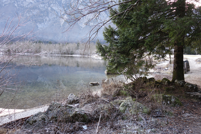 Mon voyage à Bohinj en Slovénie