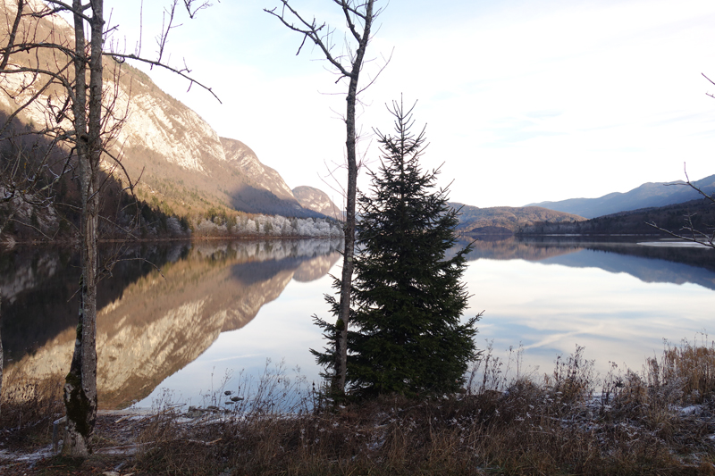 Mon voyage à Bohinj en Slovénie