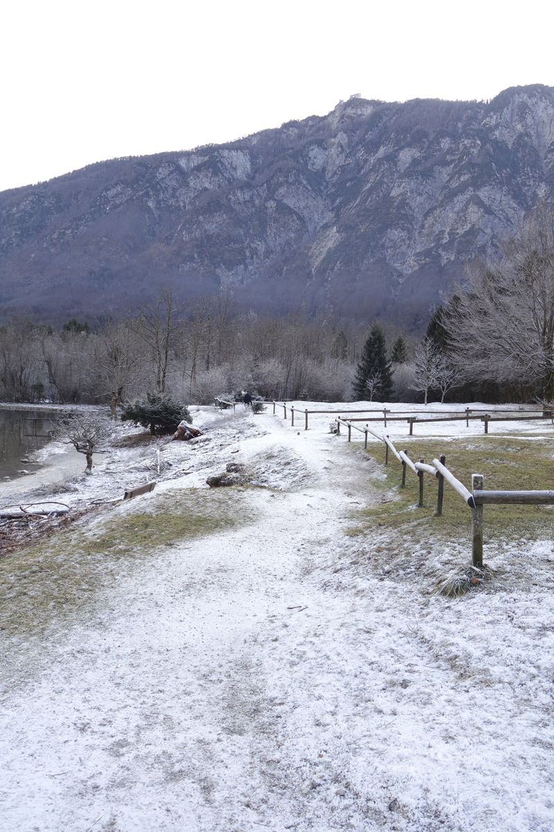 Mon voyage à Bohinj en Slovénie