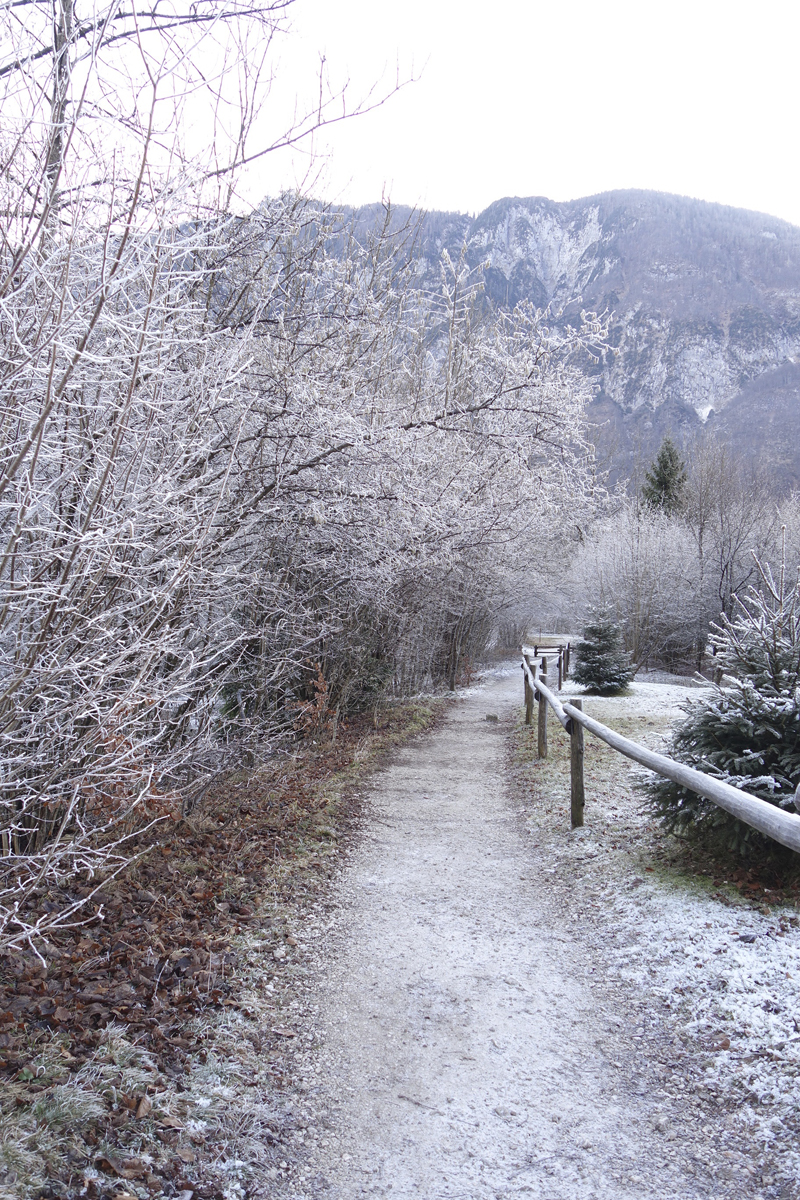 Mon voyage à Bohinj en Slovénie