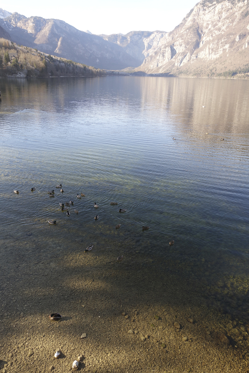 Mon voyage à Bohinj en Slovénie