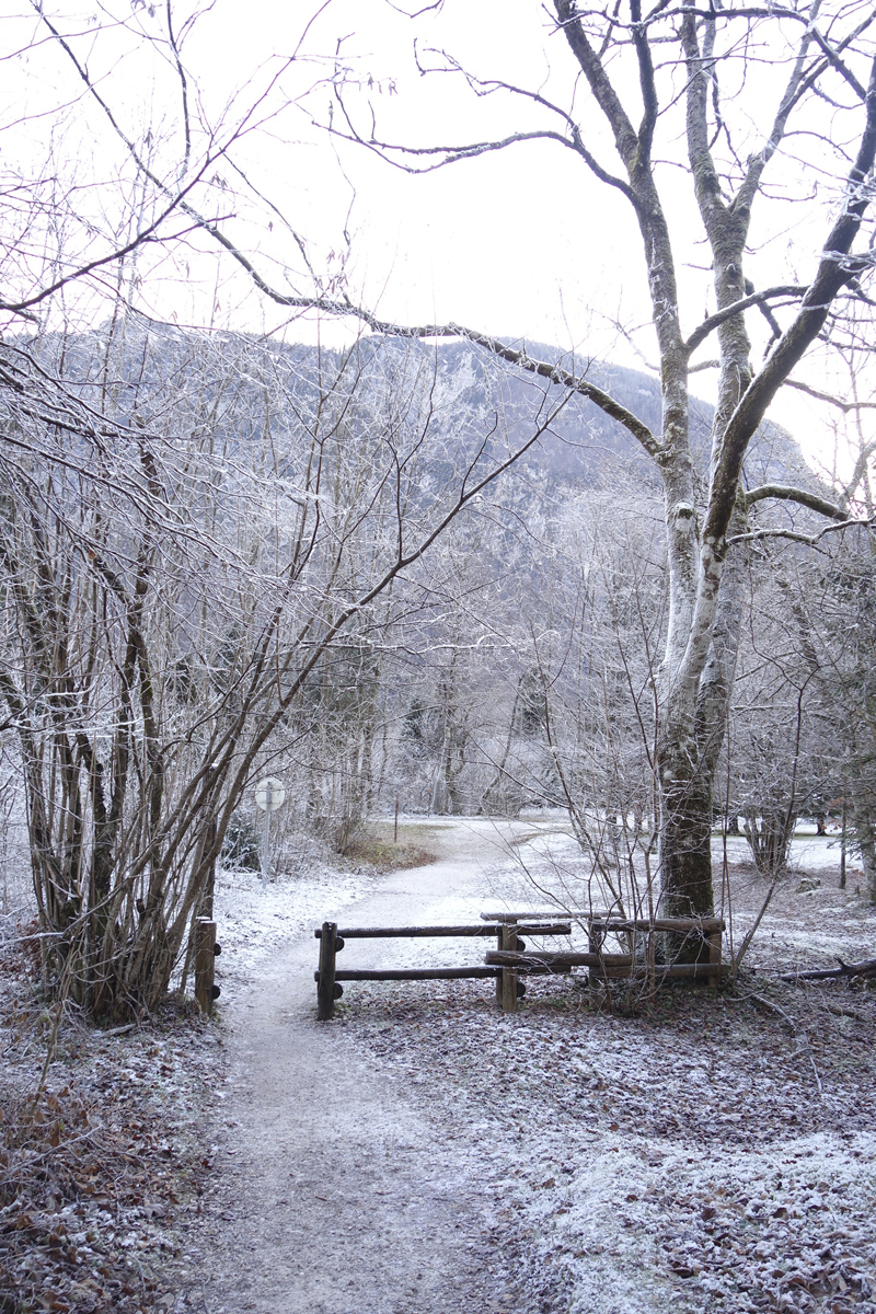 Mon voyage à Bohinj en Slovénie